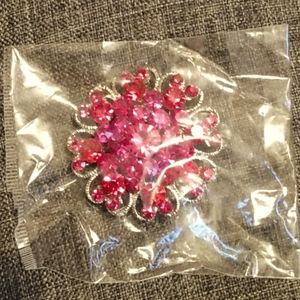 Ladies Broach ( Jewelry and Accessories )